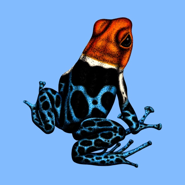 Red-headed poison dart frog by lorendowding