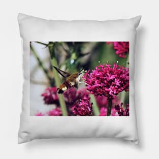 THE PANASONIC FZ  200 PAR OKAIO CREATION Pillow