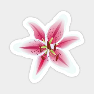 Stargazer Lily Magnet