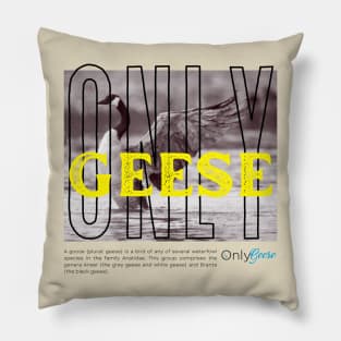 OnlyGeese Streetwear Style Pillow