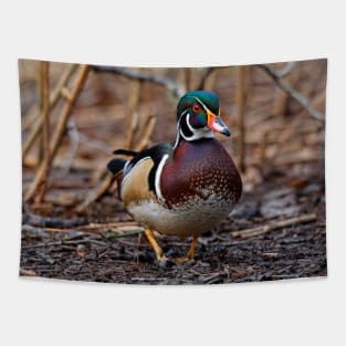 Male Wood Duck in the Woods Tapestry