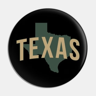 Texas State Pin