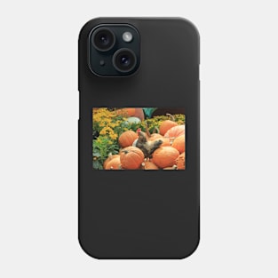 Chicken on pumpkins Phone Case