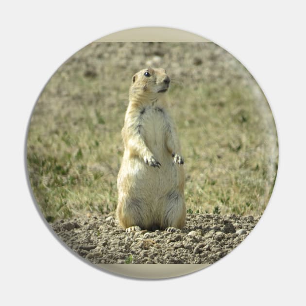 Prairie Dog SD-3 Pin by MaryLinH