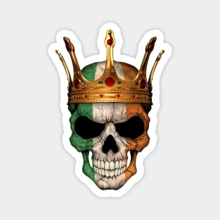 Irish Flag Skull with Crown Magnet