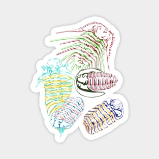 Silurian and Devonian Era Trilobites Magnet