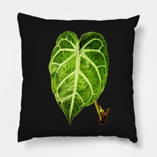 Anthurium Magnificum botanical illustration Pillow