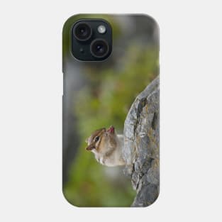 Chipmunk Phone Case