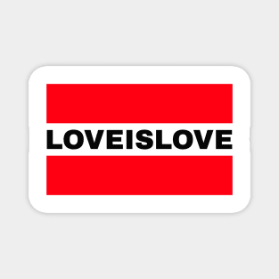 Love Is Love Magnet