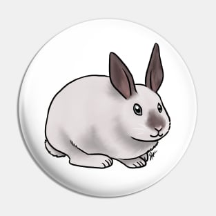 Small Mammal - Rabbit - Californian Pin