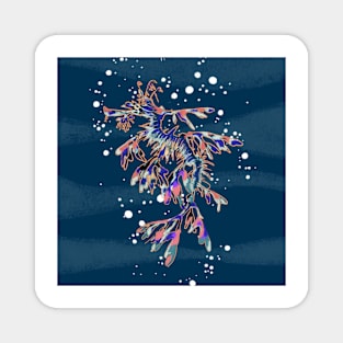 Leafy Sea Dragon Pattern Base Magnet