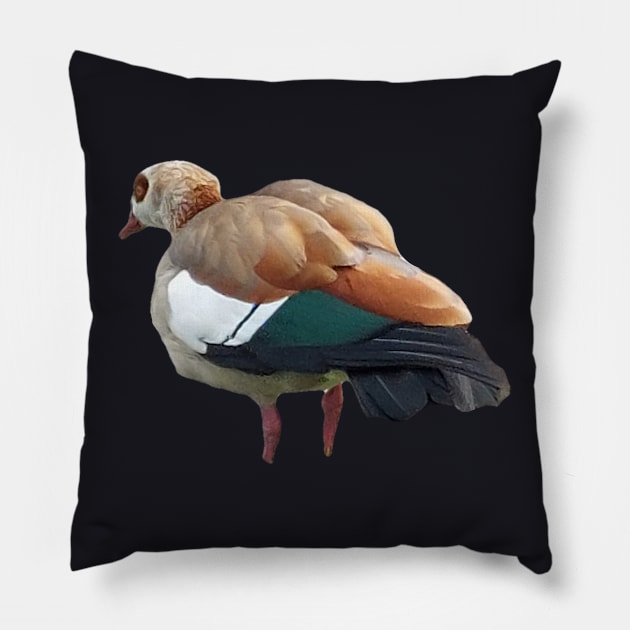 Bird Pillow by bobby t-shirt