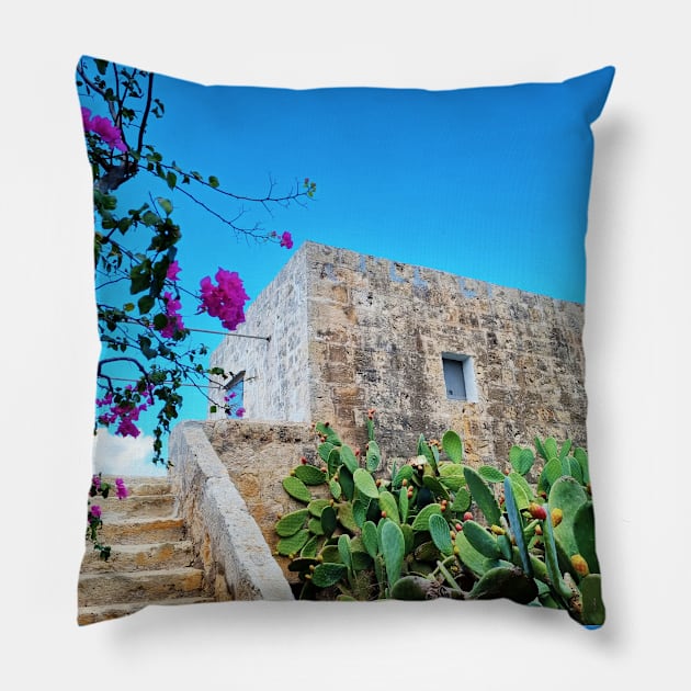 Traditional Mediterranean house Pillow by Kate-P-