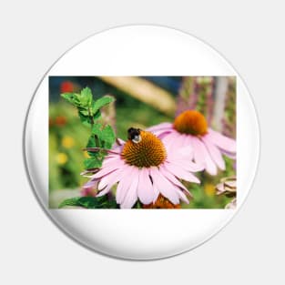 Echinacea Purpurea with Bee Pin