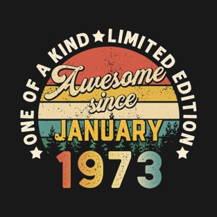 Born In January 1973 48th Birthday Vintage 48 Years Old Gift T-Shirt