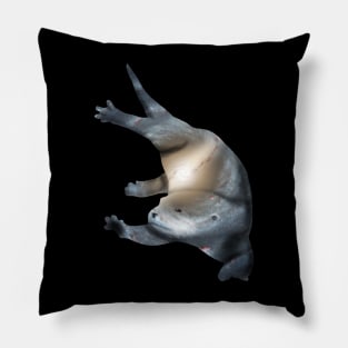 Galaxy Otter Pillow