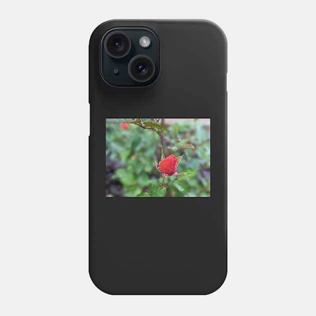 Rose Bud 1 Phone Case by AustaArt