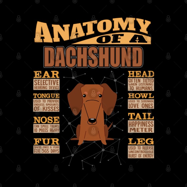 Anatomy Of A Dachshund - Dachshund Teckel, Dackel, Doxie, Weenie Dog , Wiener Dog, Sausage Dog , Salsichinha, by HarrietsDogGifts