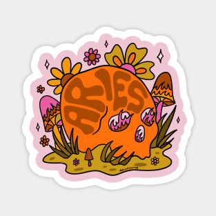 Aries Skull Magnet