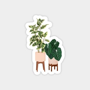 House Plants Illustration  29 Magnet