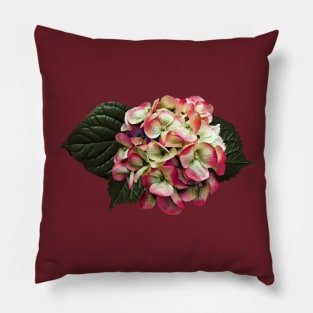 Hydrangeas - One Pink and White Hydrangea Pillow