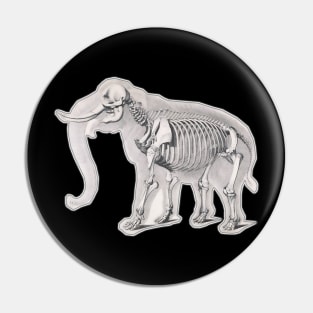 Elephant seen from inside, with skeleton and everything Pin