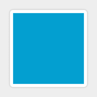 Bright Blue Solid Color Magnet