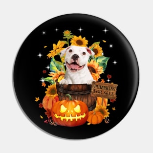 White Pitbull Halloween Pumpkin Fall Bucket Pin