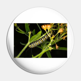 Monarch Caterpillar 3 Pin