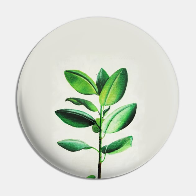 Ficus on White Pin by MilkyMoon