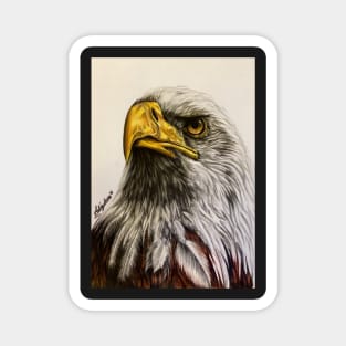 American Bald Eagle Magnet