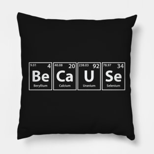 Because (Be-Ca-U-Se) Periodic Elements Spelling Pillow