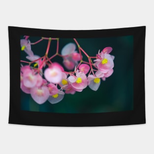 Pink Petals Tapestry