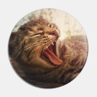 striped cat yawning Pin