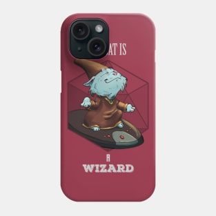 RPG Cat Wizard Phone Case