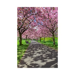 Cherry blossom in Greenwich Park in London T-Shirt