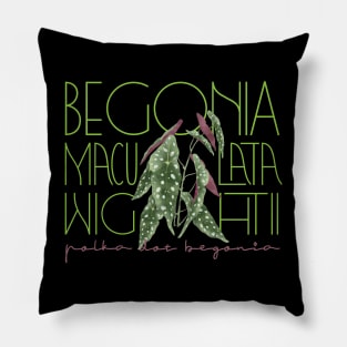 Polka Dot Begonia Maculata Plant Pillow