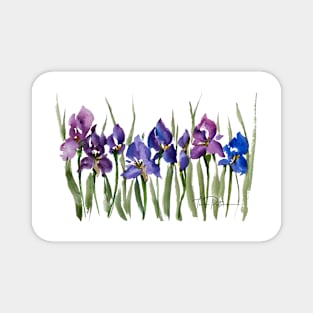 Purple French Iris Watercolor Magnet