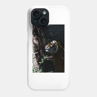 Hiding Tiger Phone Case