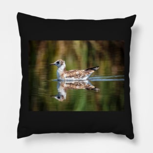 Juvenile seagull on water Pillow