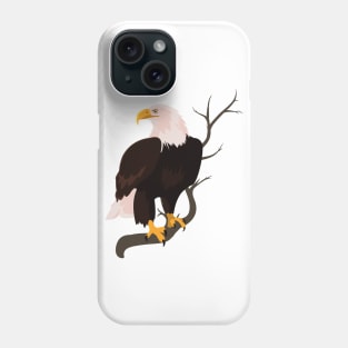 Bald eagle bird Falcon hawk buzzard raptor nature Phone Case