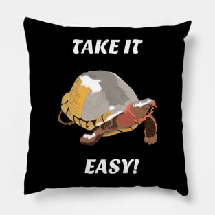 Take it Easy Turtle Pillow