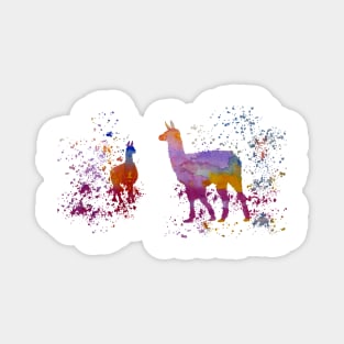 Llamas Magnet