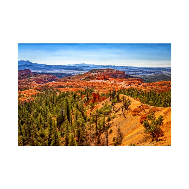 Bryce Canyon National Park by Gestalt Imagery