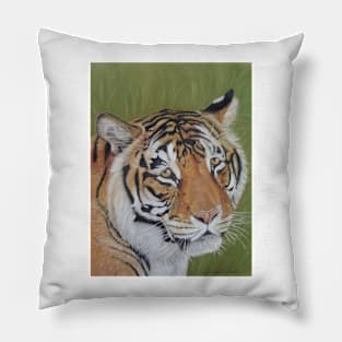 wildlife picture of big cat sad tiger Pillow