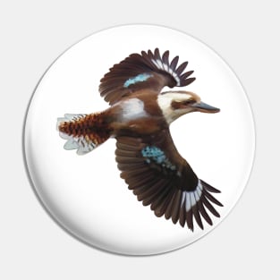 Flying Kookaburra, an Australian icon. Flashing it’s blue plumage, realistically illustrated. Pin