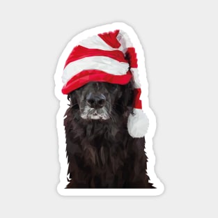 Santa Dog Magnet