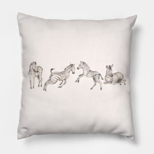 Zebra foals playing Pillow