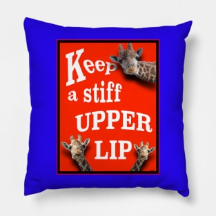 CHEER UP! FEEL BETTER! CARRY ON! KEEP CALM! Pillow