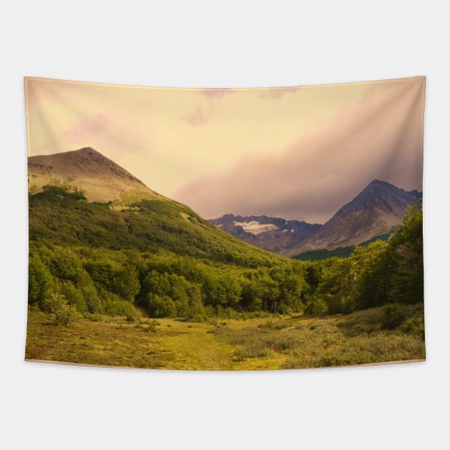 Patagonia heathland in Ushuaia Tapestry by stevepaint